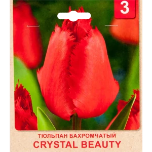 Тюльпан «Crystal Beauty» размер луковицы 10/11, 3 шт. 82365340 STLM-2066963
