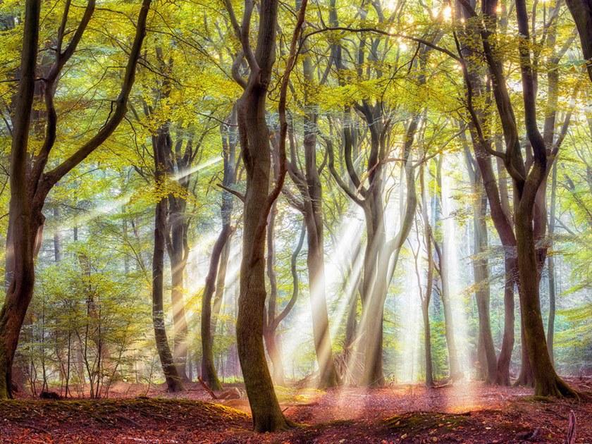 Architects Paper Обои с цифровой печатью с пейзажами Ap digital iv 109295 - Вид №1