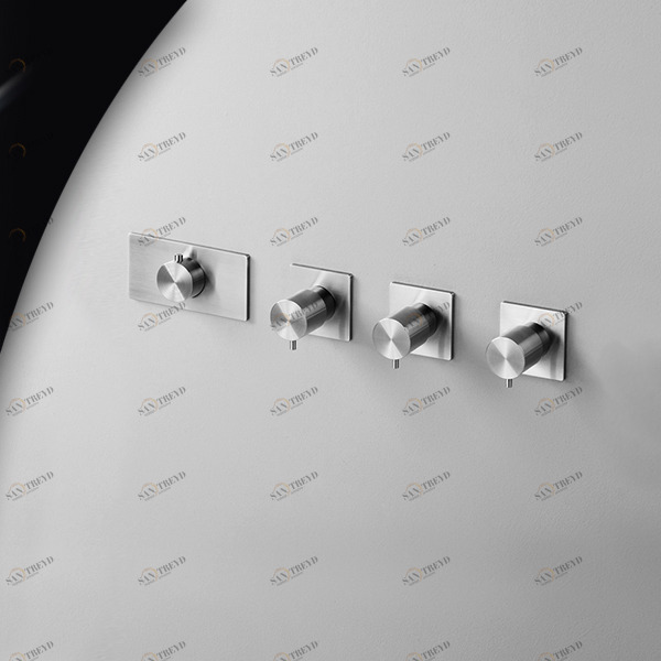 Термостат для душа AICO TER56S серебристый матовый Radomonte