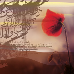 2264/CX38 Картина 2264 Adriani e Rossi