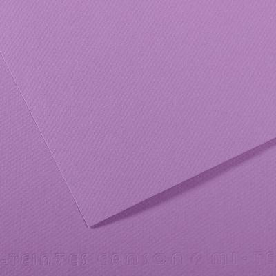 200321638 Бумага для пастели Mi-Teintes 160 г/м2 А4 21 х 29.7 см лист №113 черника Canson 