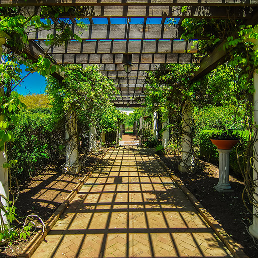 B1-001 Фотообои DIVINO Collection B 2.7х3 м B1001