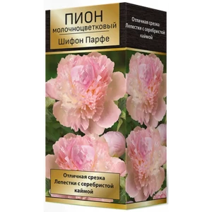 Пион молочноцветковый травянистый Шифон Парфе 85205655 STLM-2101160