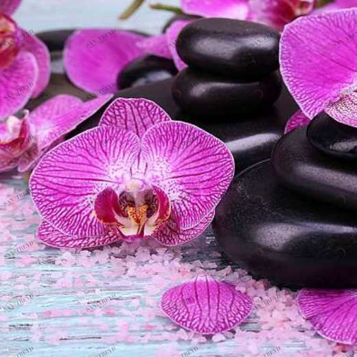 L-068 Фотообои DIVINO L&P 2х1 м L068