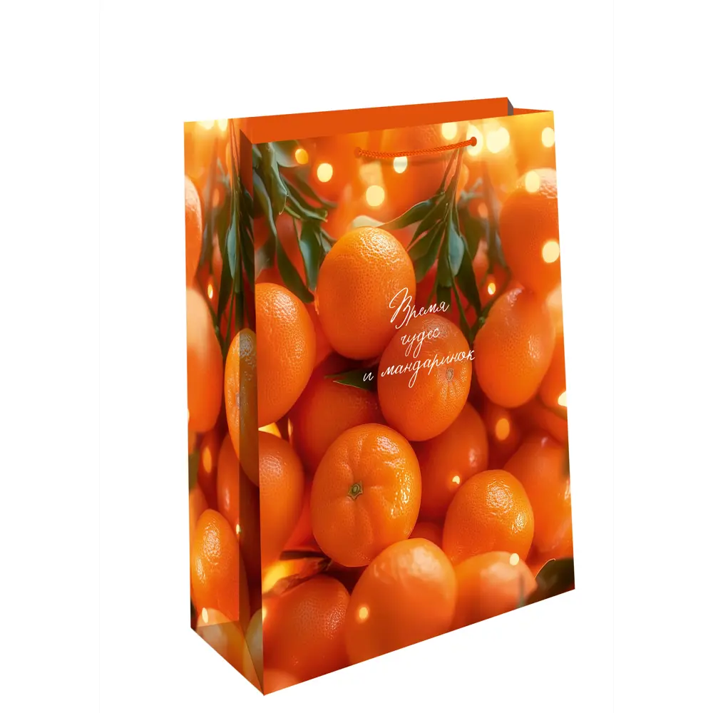 Подарочный пакет Арт и дизайн 42x33 см в ассортименте STLM-2122061