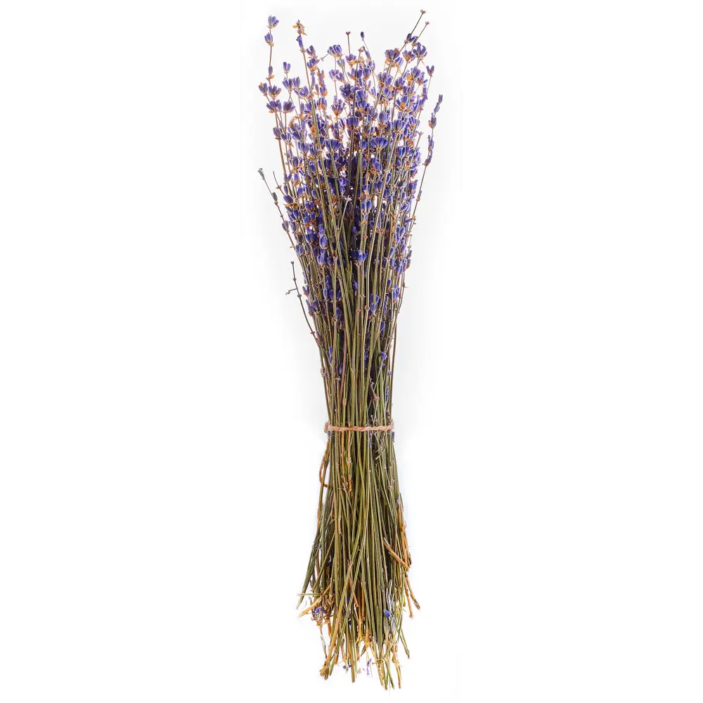 Изделие декоративное букет Лаванда 11.5x30x5 см Santreyd STLM-2129588