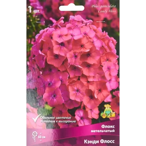 Флокс метельчатый Кэнди флосс луковица I 88294965 STLM-2017553