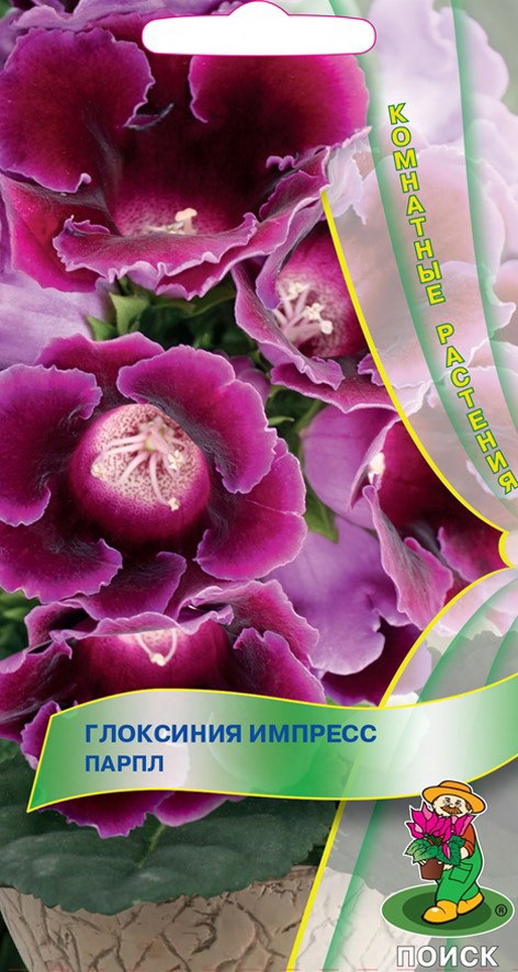 Santreyd Глоксиния Импресс Парпл - семена пурпурного цветения 86218052 STLM-0066966