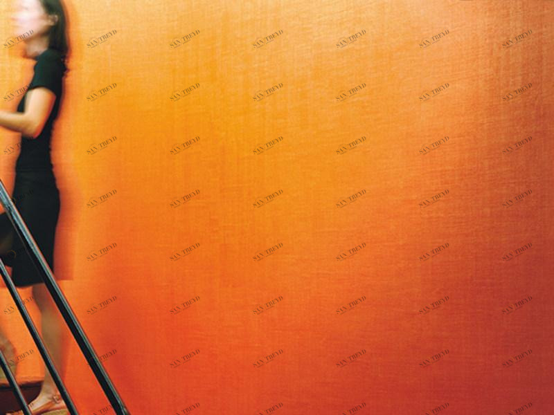 Élitis Однотонные виниловые обои Foulards sun-id-1367864