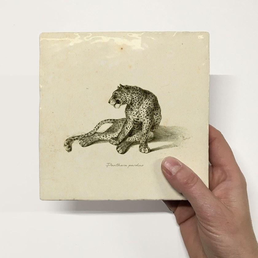 Groovy Magnets Настенный декоративный предмет из керамики Tiles M-tile-pa - Вид №1