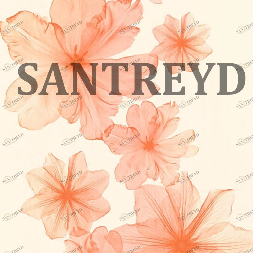 34272-4 Обои A.S. Creation X-Ray 342724