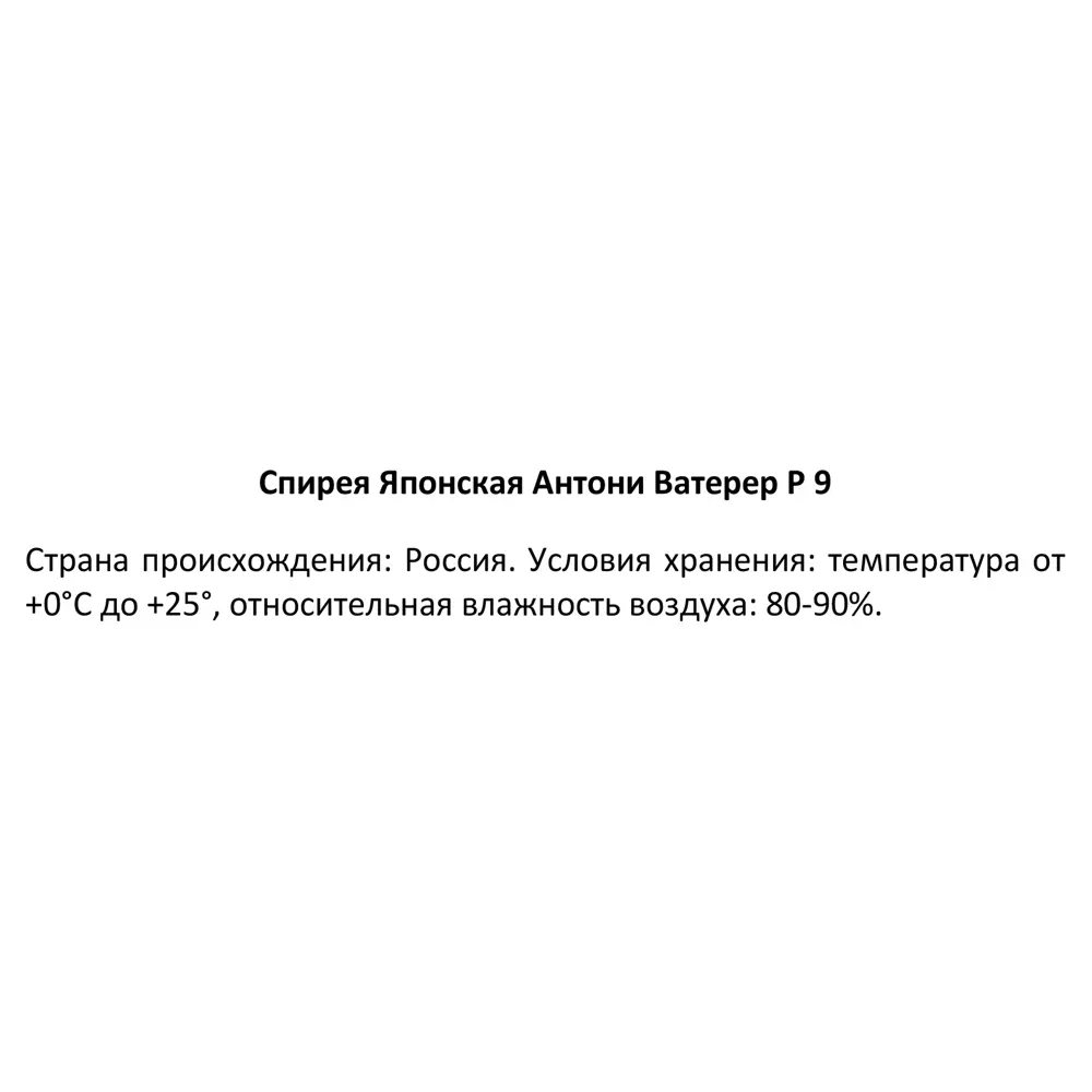 Спирея японская Антони Ватерер ø9 h30 см 89364977 STLM-2191762 Santreyd  - Вид №3