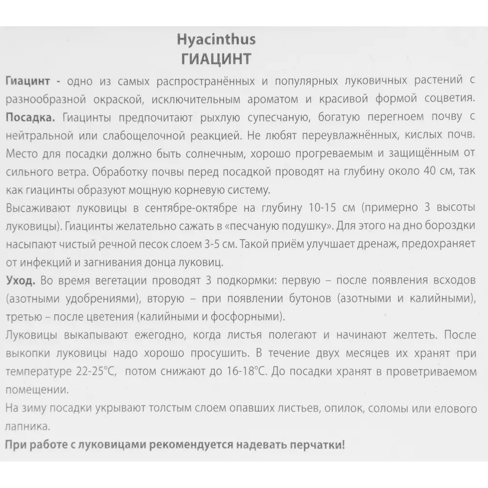 Гиацинт садовый Скай Джэкет, 3 шт 85204961 STLM-2154056 ПОИСК  - Вид №2