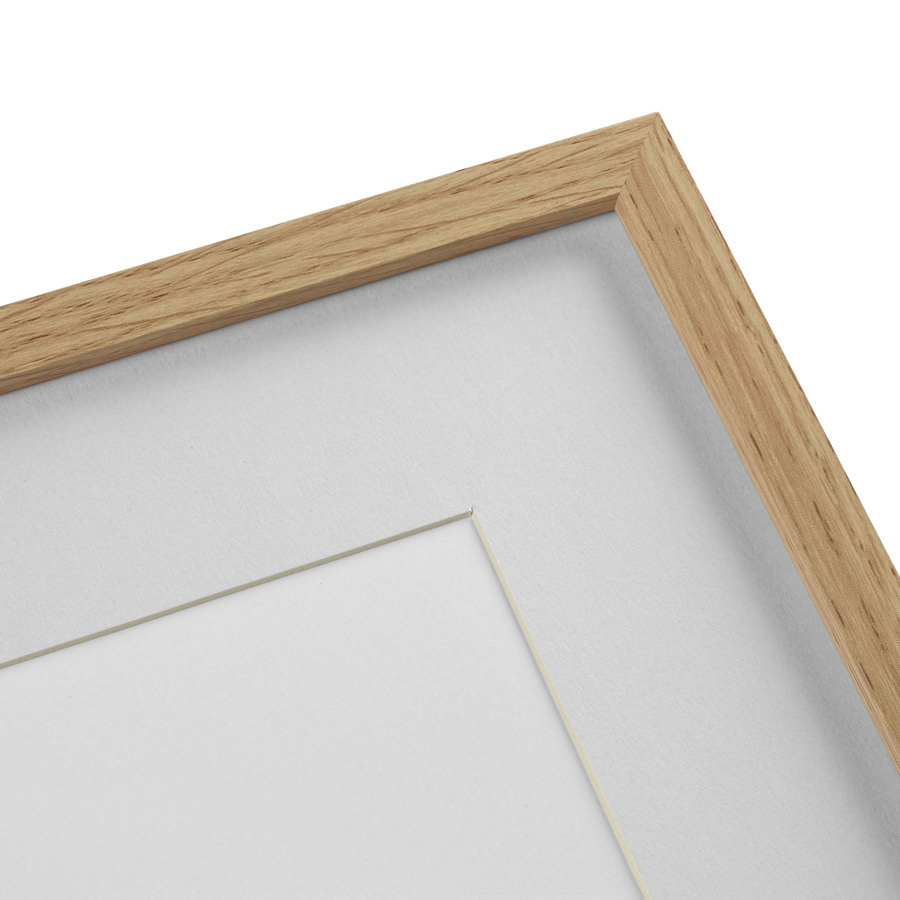 Картина в раме 32х42 см Botany illustration №9, 1836г. КАРТИНЫ В КВАРТИРУ  264501 Бежевый;зеленый;разноцветный  - Вид №3