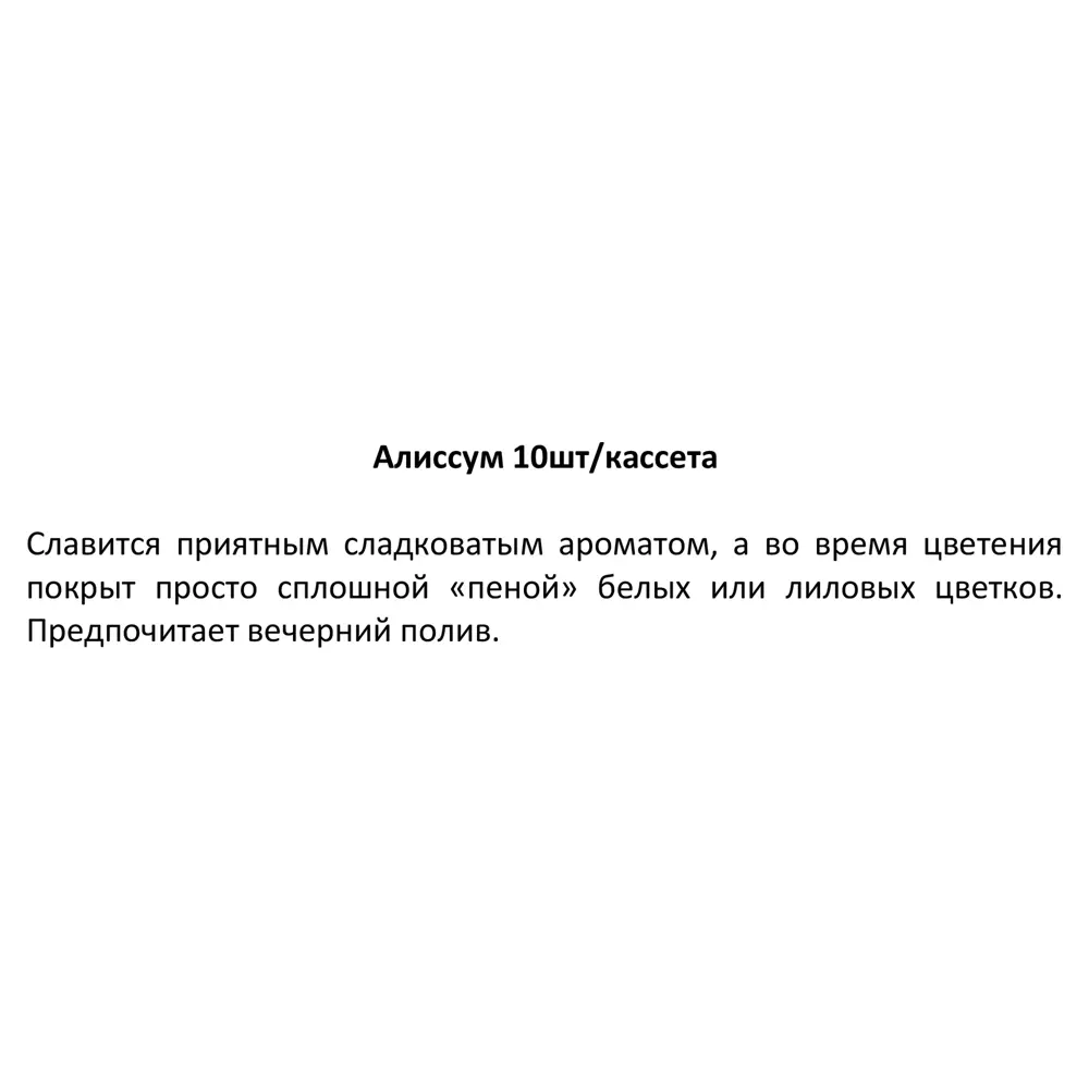 Рассада Алиссум h20 см, 10 шт. 83248316 STLM-2032204 Santreyd  - Вид №3