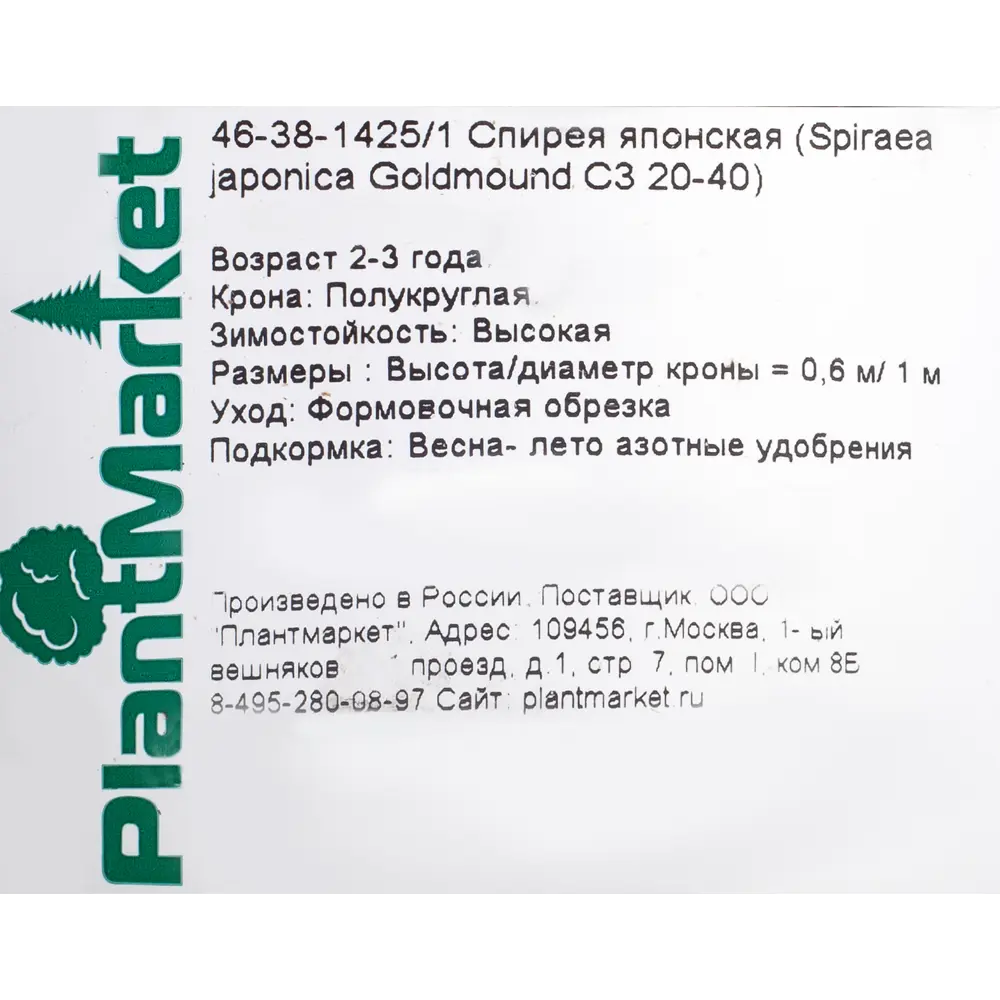 Спирея японская «Голдмоунд», С3/20-40 см 18468736 STLM-2123951 Santreyd  - Вид №1