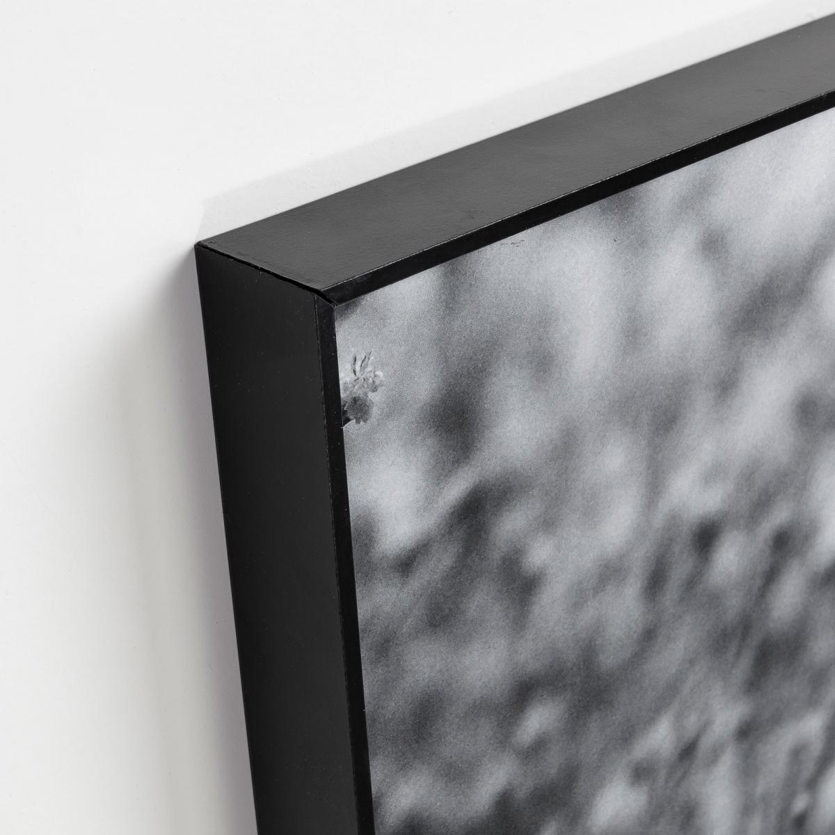 069409 Каланта картина дерево La Forma Calantha  - Вид №1