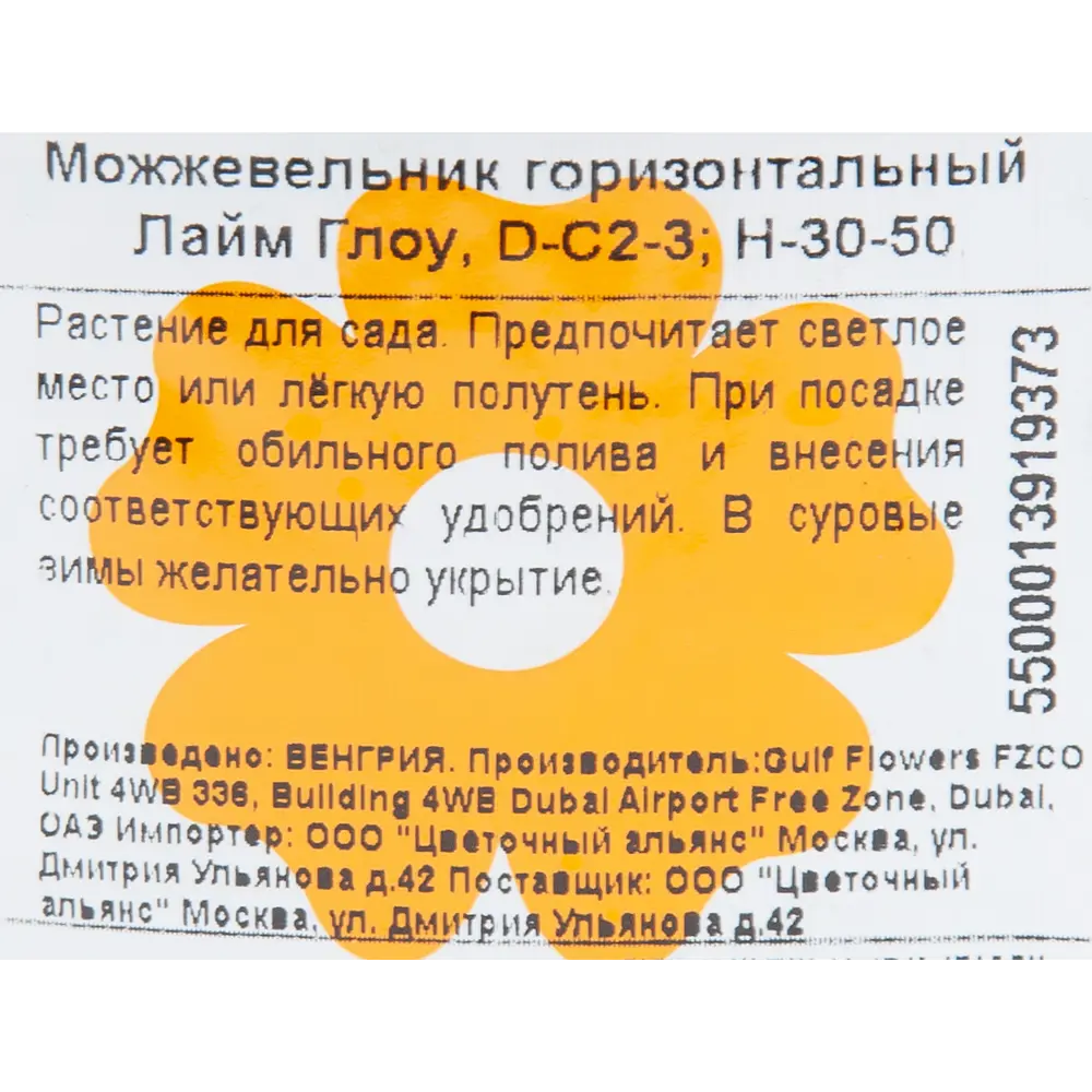 Можжевельник «Лайм Глоу» 17x40 см 82601617 STLM-2099282 Santreyd  - Вид №1