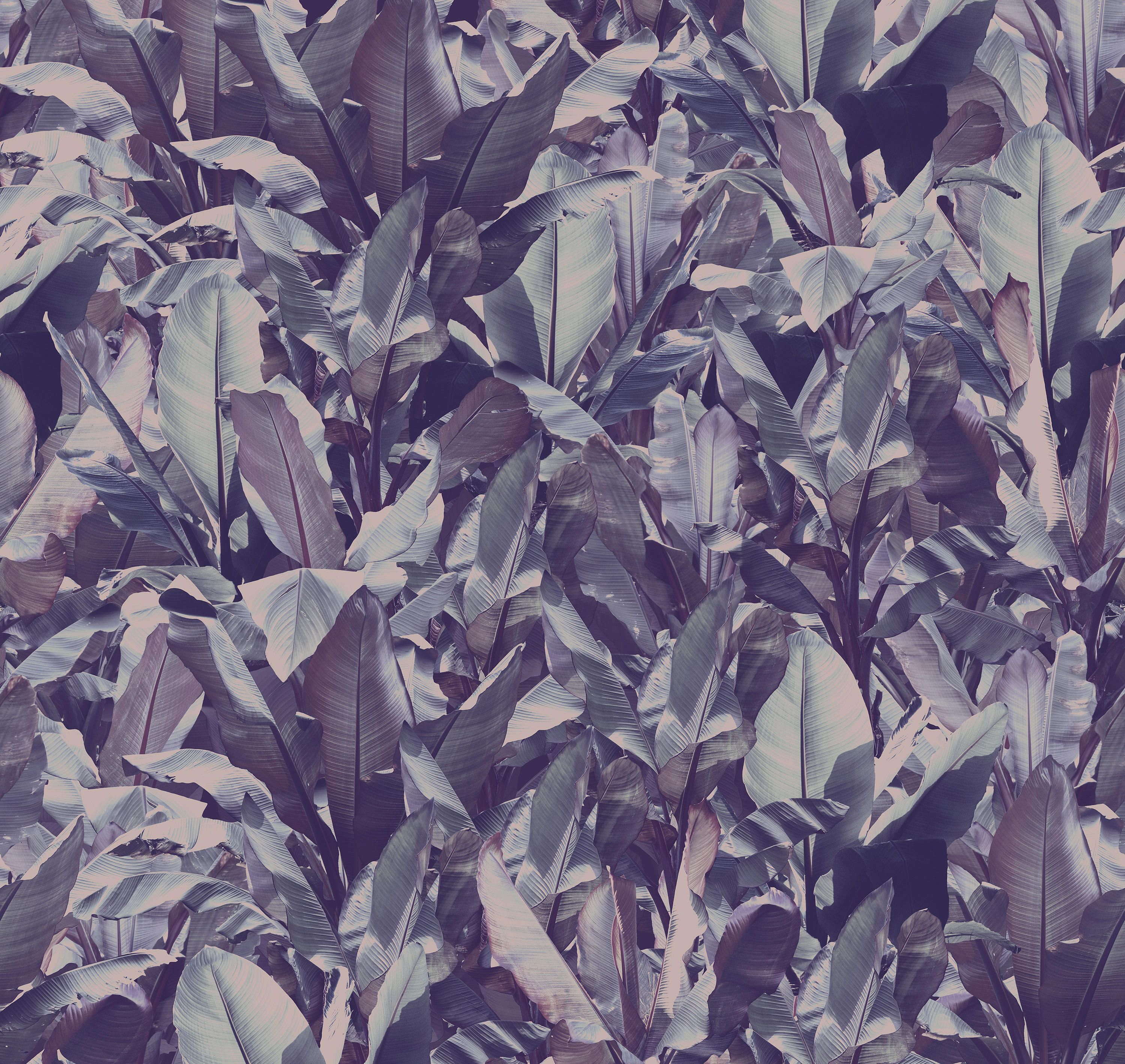 Виниловые обои Devon&Devon ARCH-00139698 - Вид №5