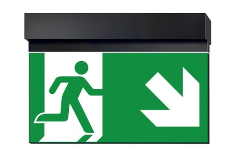 DST-1558 Ikus 320-t Daisalux Светильники сигнальные Черный 