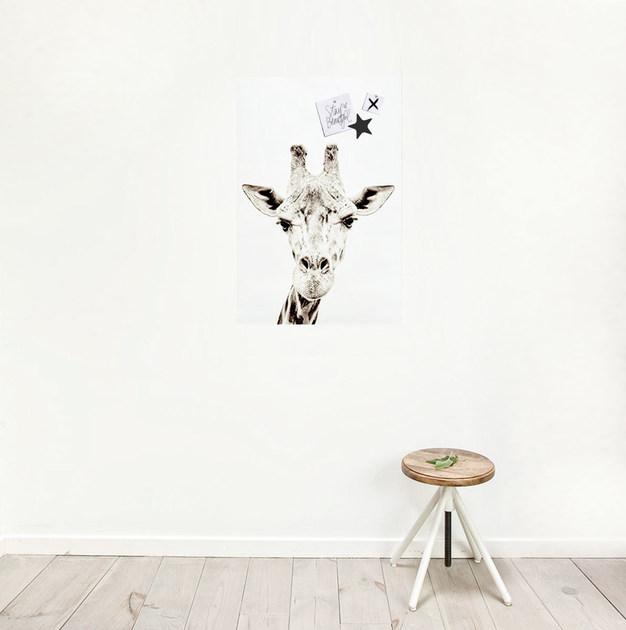 Groovy Magnets Магнитный плакат Animal Pos-62-gi - Вид №3