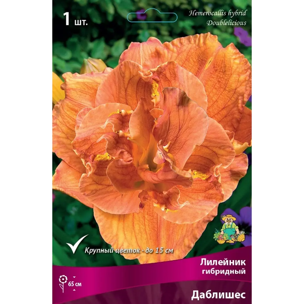 Лилейник гибридный Даблишес луковица I 83597570 STLM-2137819 Santreyd 