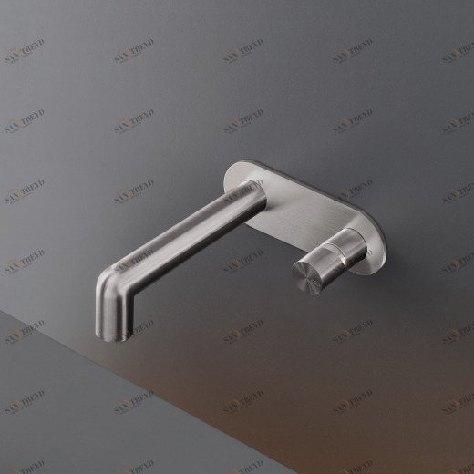 Настенный смеситель с носиком L. макс. 245 мм  CAR31 CEADESIGN 