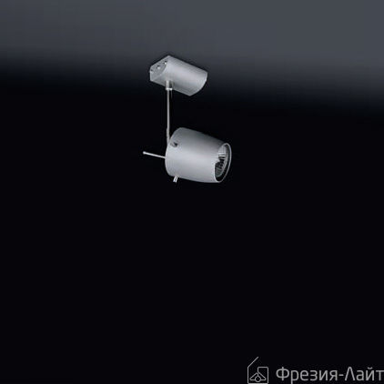 Oscaluz 2523-01-00-ZC потолочный 36227