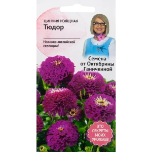 Цинния «Тюдор» 10 шт. 82481659 STLM-2152256