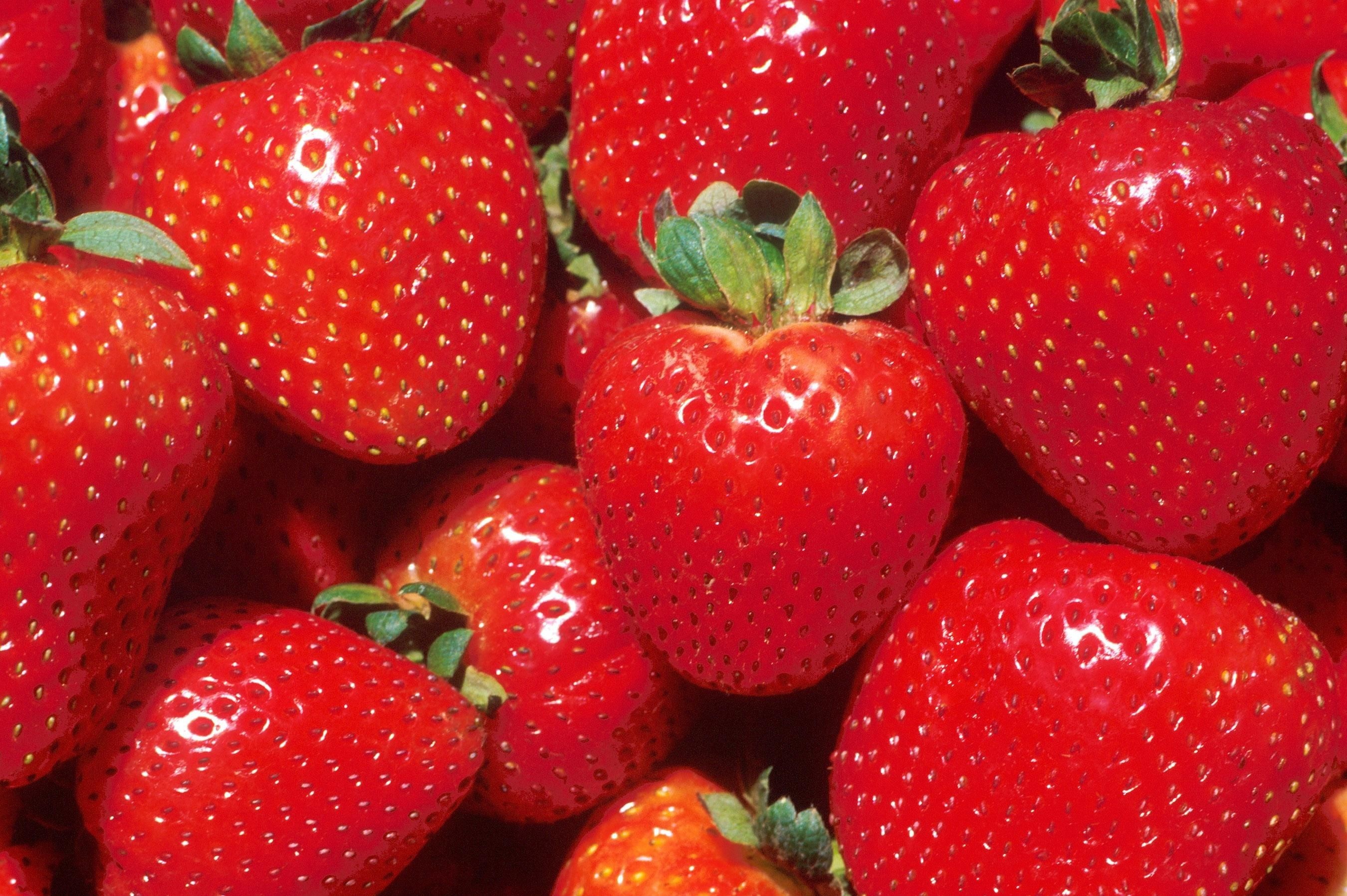 82625404 Земляника садовая «Диамант» 9x15 см STLM-0032215 PLANTMARKET