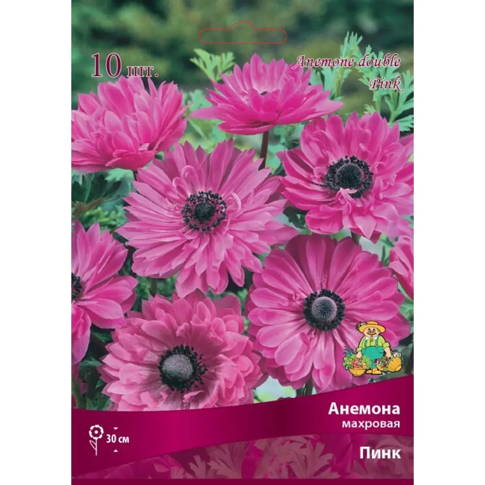 Анемона махровая Пинк ПОИСК - розовые клубни для сада 83593862 STLM-1565953