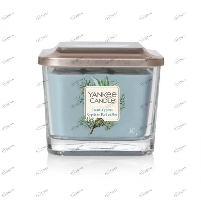 Свеча средняя Coastal Cypress "Прибрежный кипарис" 347гр 28-38 часов YANKEE CANDLE  268070 Голубой 
