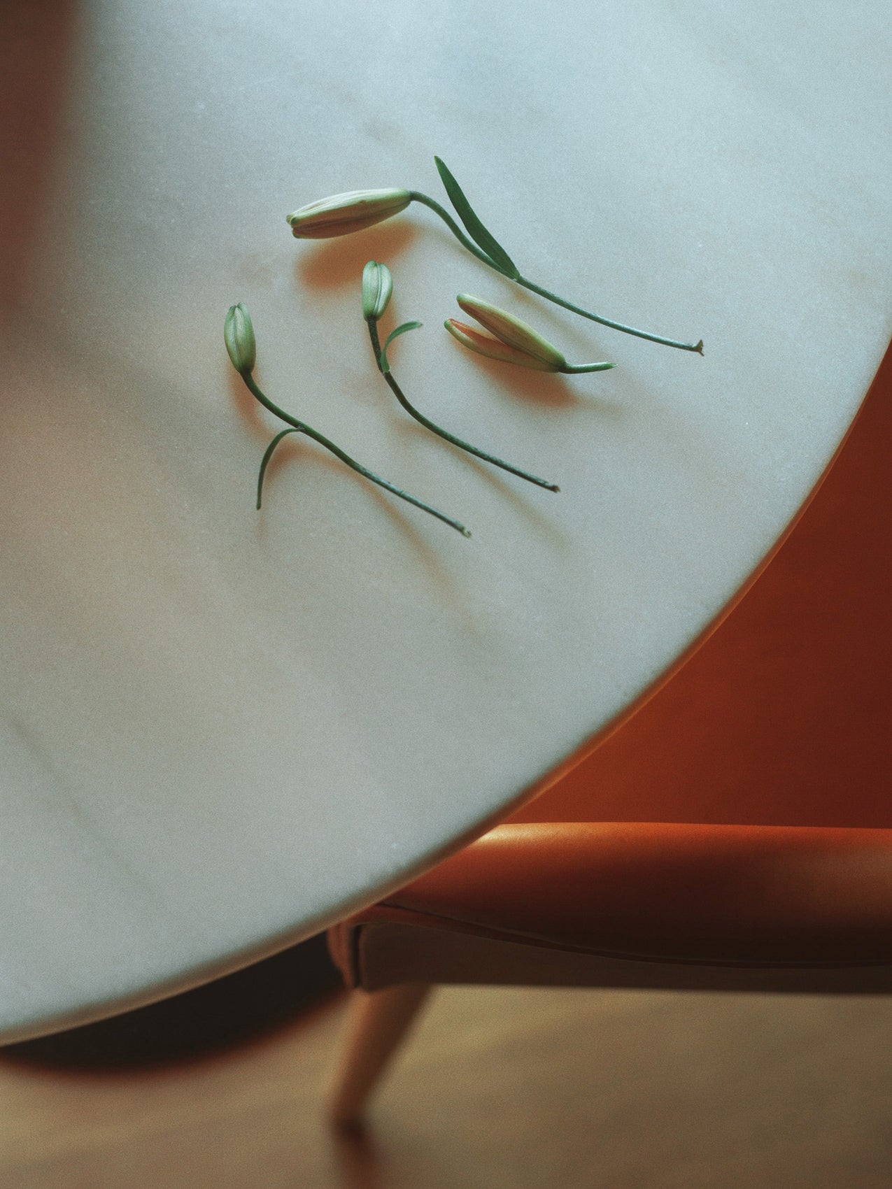 5709262031634 Стол колонны гавани, столешница круглого стола LuceLight  - Вид №10