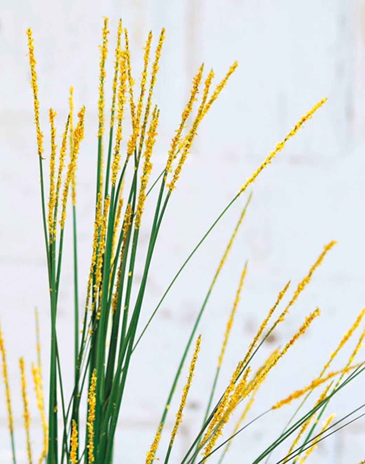 4505 330 a1 Искусственная трава, 70 см, желтая H-andreas 