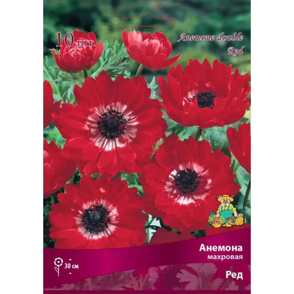 Santreyd Анемона махровая Ред - яркий многолетник для сада 83593863 STLM-0965463