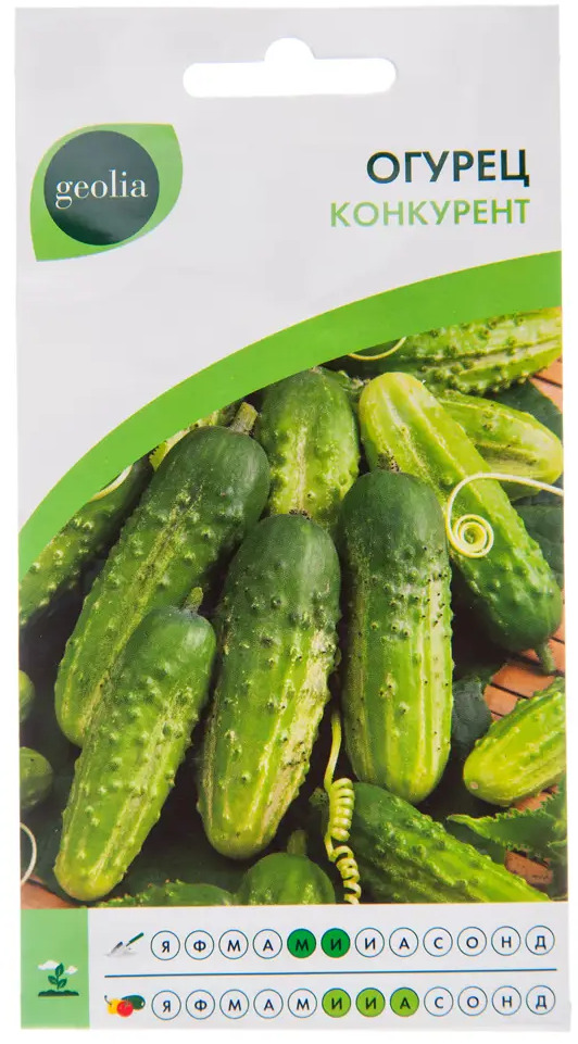 Семена огурца Geolia Конкурент - ранний урожай для засолки 17584823