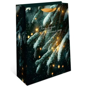 Подарочный пакет Арт и дизайн 22x18 см бумажный в ассортименте