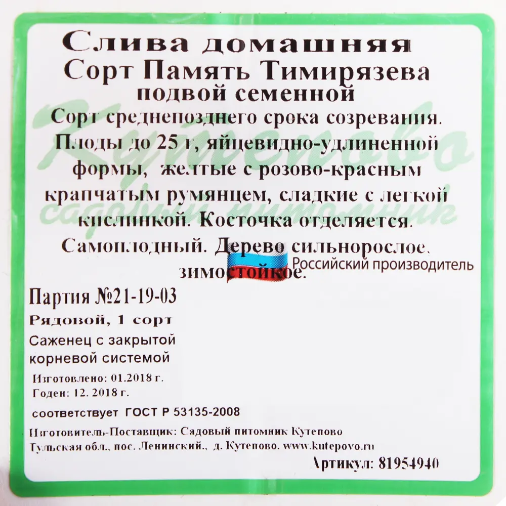 Слива С7 «Память Тимирязева» h180 (3 года) 81954940 STLM-2194274 Santreyd  - Вид №1