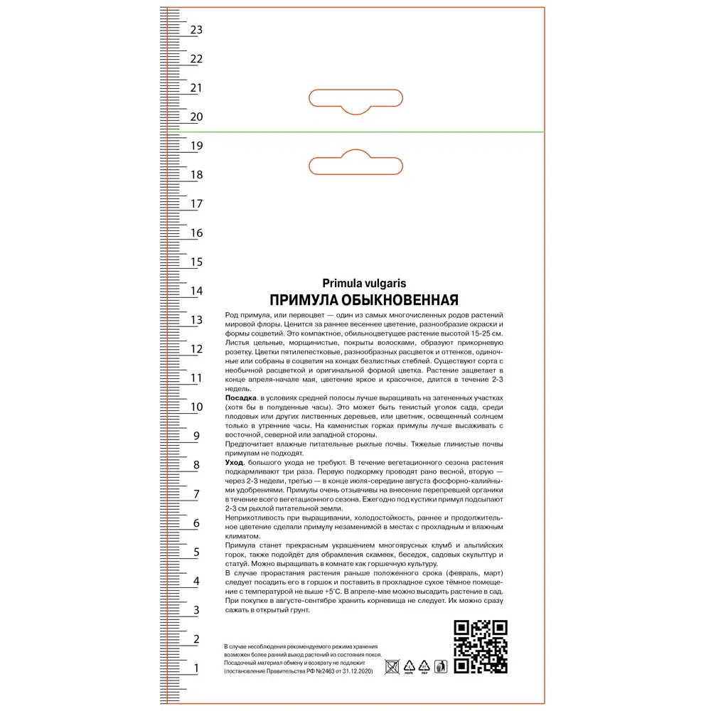 Примула обыкновенная Фру Фру ПОИСК STLM-2025856