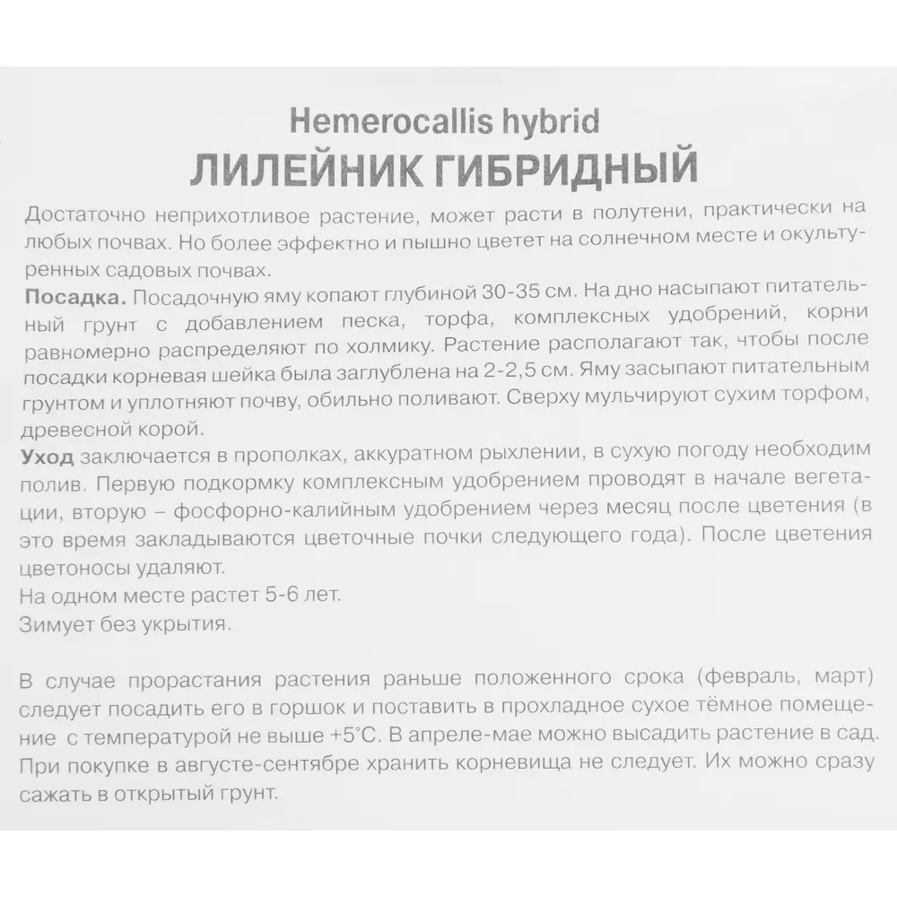 Лилейник Гиб Сторм Ов Зе Сенчури 85205694 STLM-2170640 ПОИСК  - Вид №2