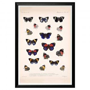 782752297_1818 Арт-постер «Тропический рай», версия 47 Object Desire