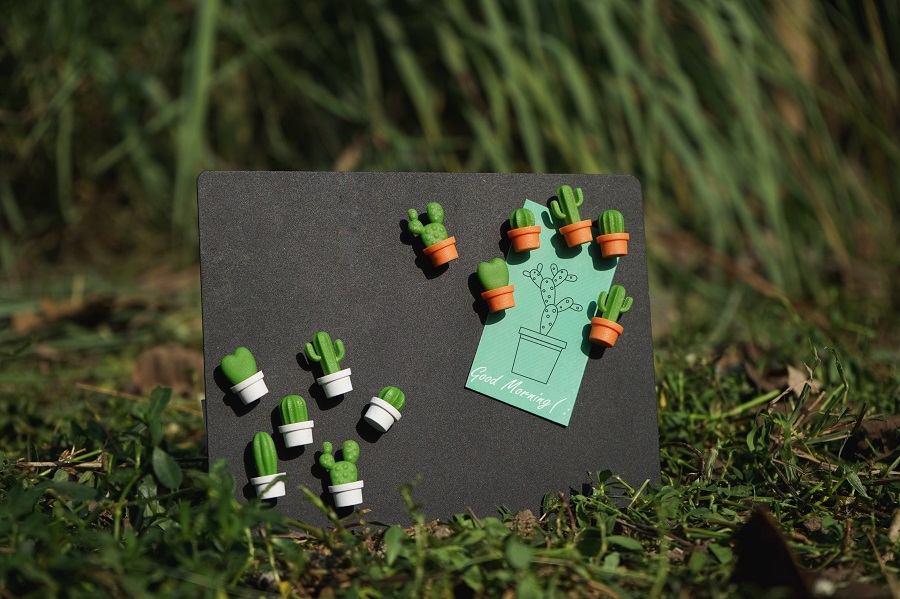 QL10288-OR-GN Магниты cactus, 6 шт. Qualy  - Вид №8