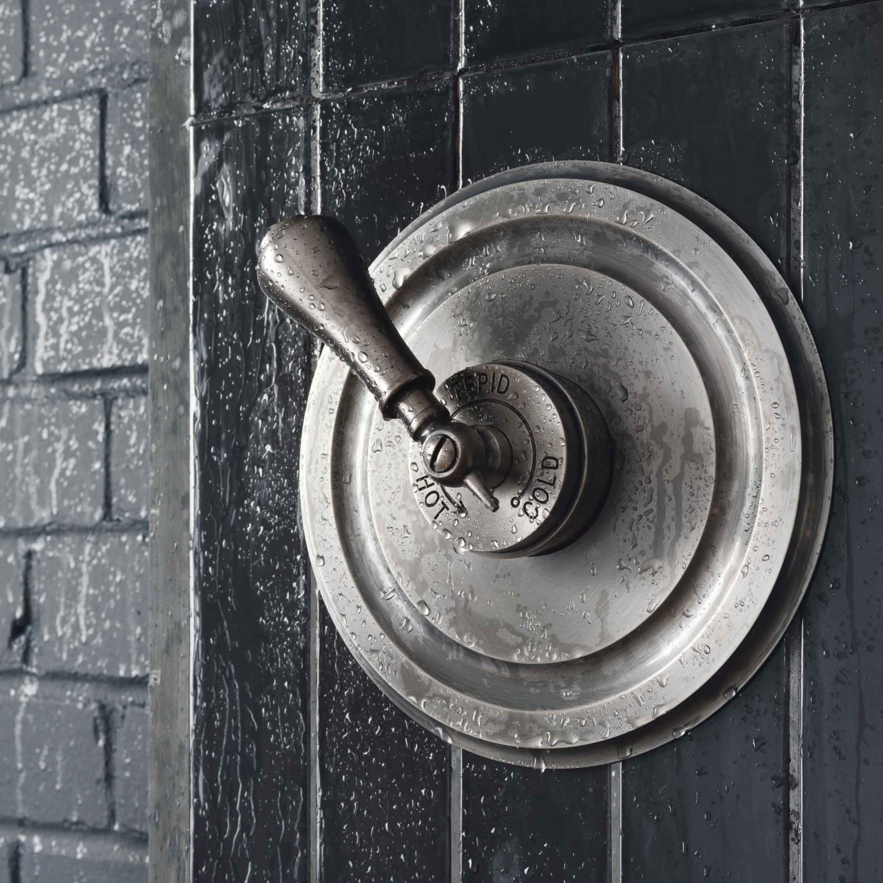 Concealed душ Le Thermo Grand Concealed Catchpoleandrye  - Вид №3