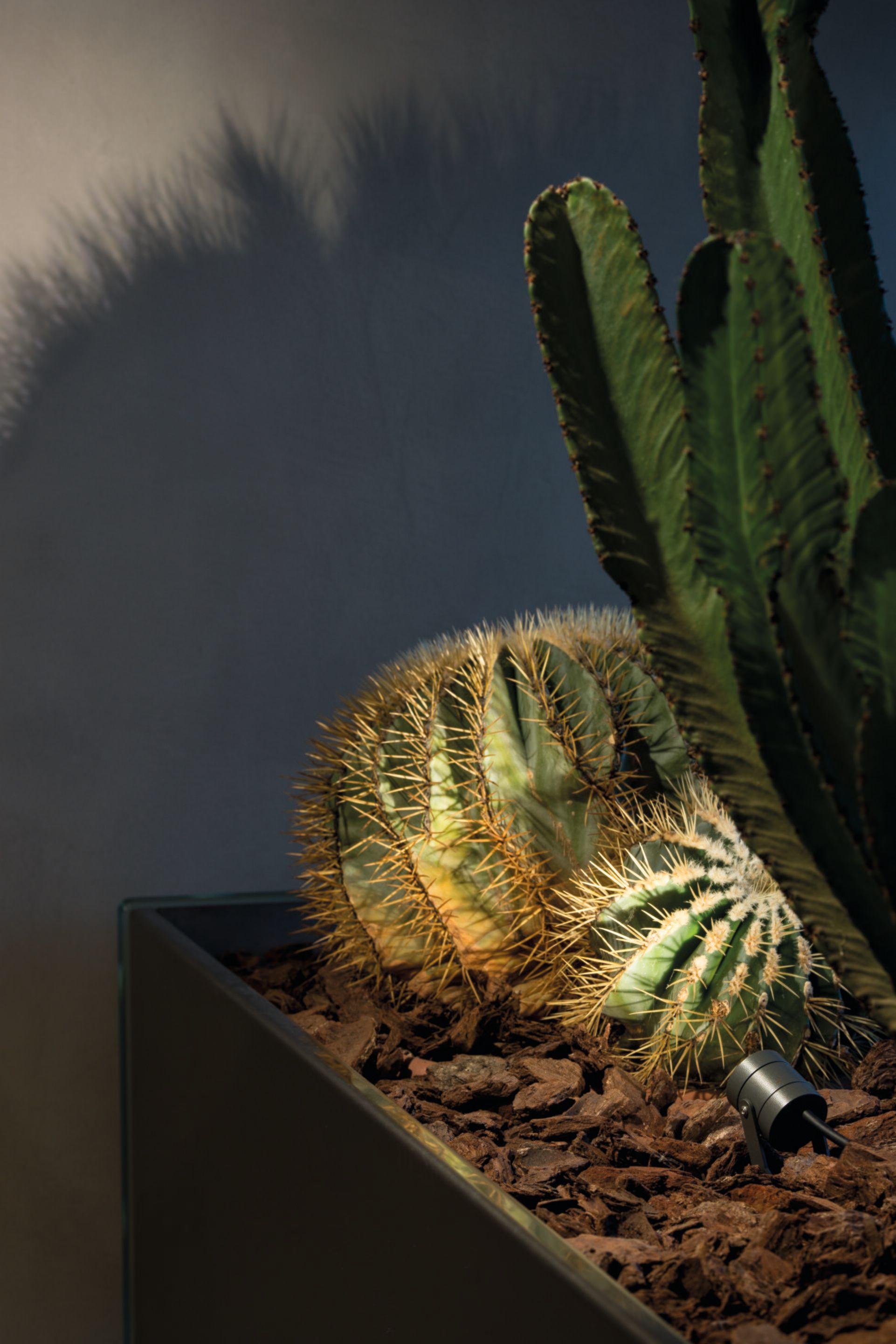 Ультра компактный регулируемый светодиодный прожектор TARGETTI Юпитер ARCH-00064833 - Вид №1