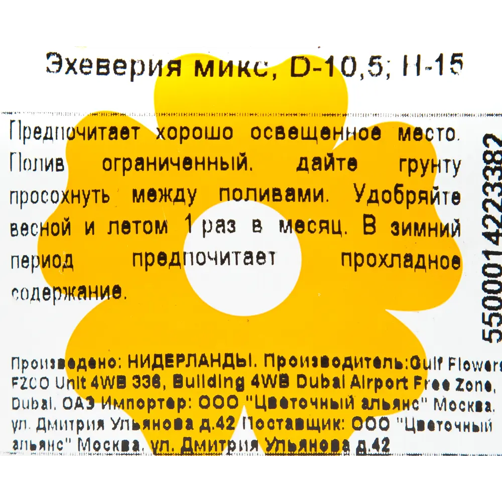 Эхеверия микс 10.5x15 см 82929556 STLM-2080573 Santreyd  - Вид №2