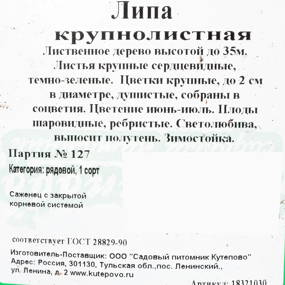 Липа С2, 40 см 18321030 STLM-2177158 Santreyd  - Вид №1