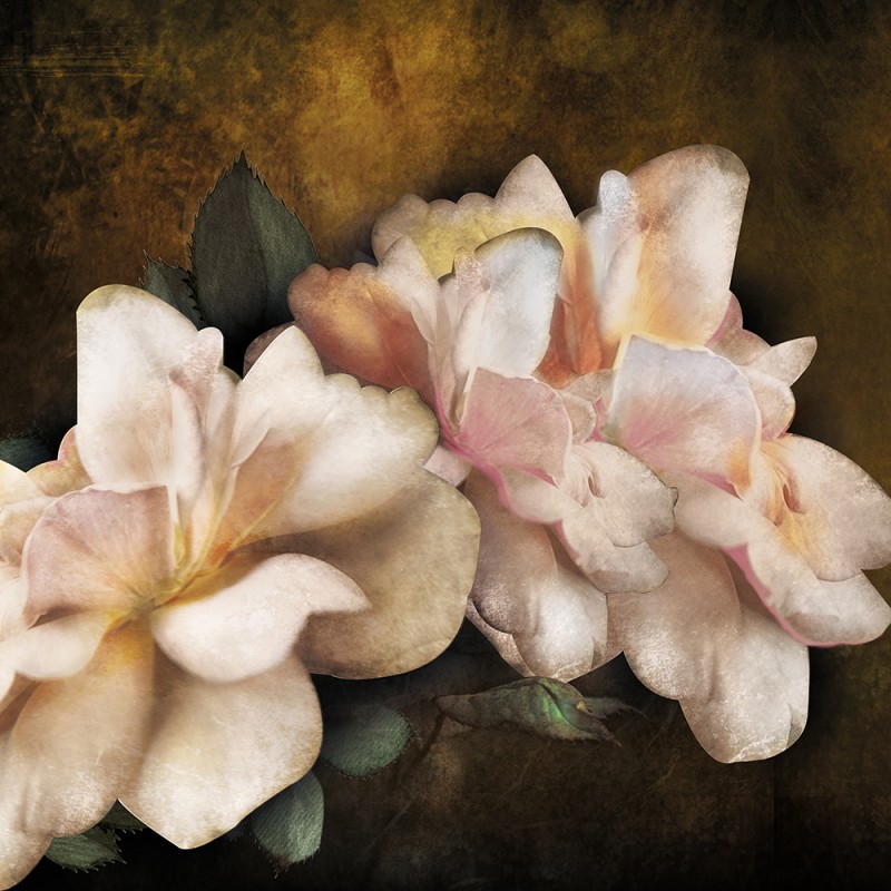 WP03033A Обои декоративные Adriani e Rossi 