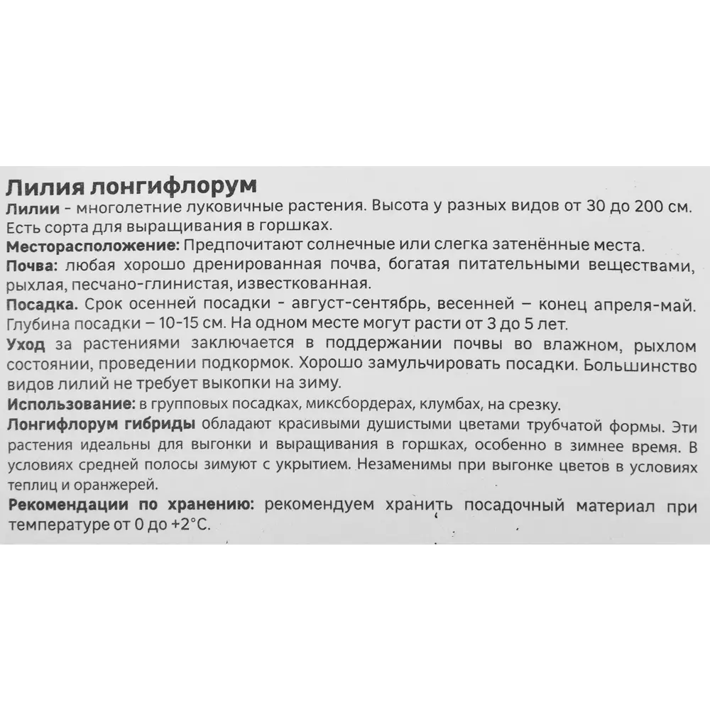 Лилия Geolia Лонгифлорум Ланкон 86408646 STLM-2143815  - Вид №3