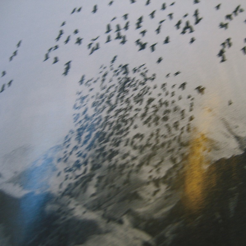 0334/CX38 Картина 0334 Adriani e Rossi  - Вид №1