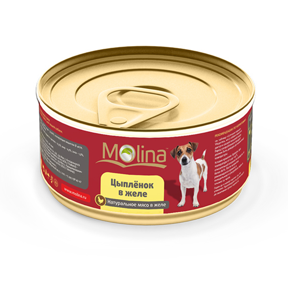 ПР0019436 Корм для собак Цыпленок в желе, банка 85г Molina 
